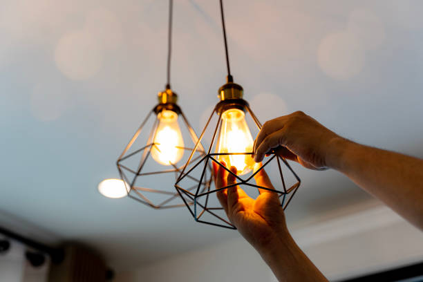 Best Electric Panel Repair  in North Bonneville, WA